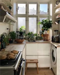 آپارتمان دنج و کوچک یک خلاق و گیاه دوست کپنهاگ
