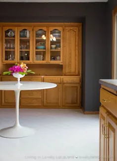 چگونه آشپزخانه را بدون رنگ آمیزی کابینت های بلوط خود به روز کنیم