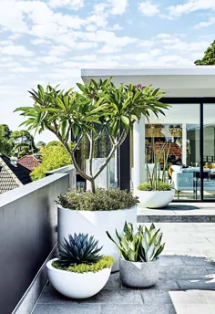 باغ پشت بام: 10 ایده الهام بخش تراس روی پشت بام