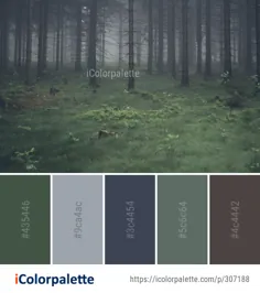 ایده های رنگ پالت از جنگل اکوسیستم Woodland Image |  iColorpalette