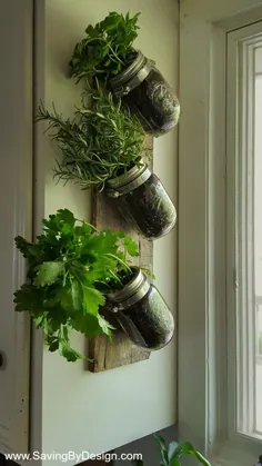 نحوه ساخت باغ گیاهان گیاهان دیواری داخلی برای لذت بردن از گیاهان تازه سال |  صرفه جویی در طراحی