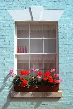 ایده باغبانی: جعبه های پنجره که رو به خیابان نیستند