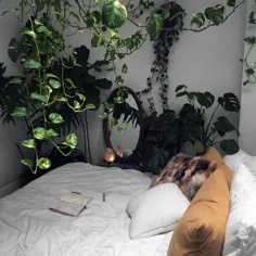 اتاق خواب پر از گیاه من (کامل با نورگیر برای شبهای بارانی)