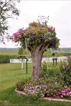 تنه درخت وارونه به عنوان یک گلدان بزرگ در چشم انداز باغ استفاده می شود