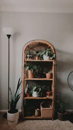 قفسه حصیری با گیاهان
