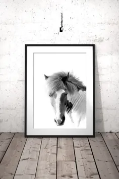 Horse Wall Art چاپ سیاه و سفید عکاسی دیجیتال |  اتسی