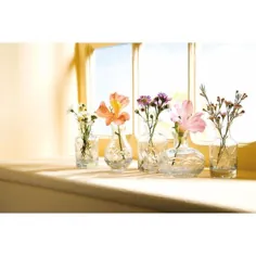 ست گلدان های شیشه ای Petite: ست شیشه ای شفاف