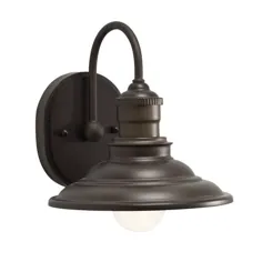 آلن + روت Hainsbrook 1-Light Bronze Industrial Vanity Light Lowes.com