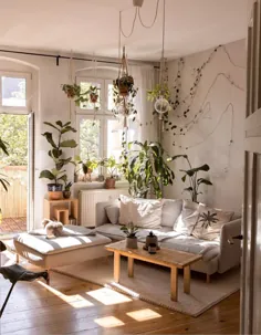 خانه ای کوچک و آرام بوهمیایی که مملو از گیاهان است