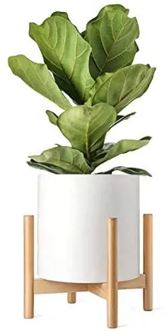 پایه نگهدارنده گیاه Mkono Plant Holder گلدان گل چوبی وسط قرن (گیاه گلدان شامل نمی شود) صفحه نمایش داخلی گلدان مدرن دکوراسیونی رک ، تزئین کننده روستایی تا 14 اینچ ، طبیعی