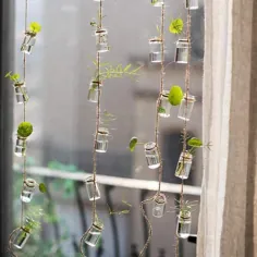 Frazee rustikaler Seil-hängender Glaspflanzer - #frazee #glaspflanzer # hangende... - ایده های بیرونی