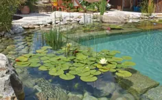 استخر شنا در باغ خود: استخر طبیعت