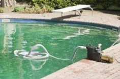 پاک کننده استخر شنای خانگی طبیعی |  Hunker