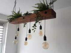نور پرتو چوب با گیاهان