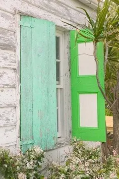 کرکره های سبز House Beach ، Loyalist Cays ، باهاما ، کارائیب توسط والتر بیبیکوو / دانیتا دلیمانت