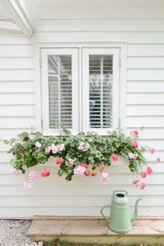 7 ایده جعبه گل پنجره که باعث می شود شما گلهای رز را بو کنید |  Hunker