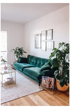 اتاق نشیمن مبل سبز را طراحی می کند