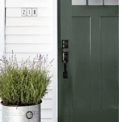 8 ایده برای تزئین درب جلو برای تازه کردن جذابیت محدود کردن خانه شما