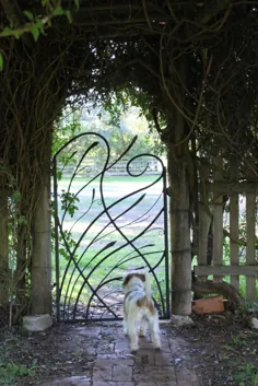 دروازه چمنزارها با توله سگ