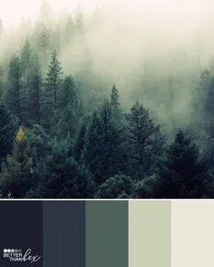 جنگل مه آلود - ایده پالت رنگی