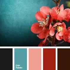 25 پالت رنگی با الهام از آسمان های دیدنی و آبی کلاسیک PANTONE | غروب خورشید پالت رنگ ، قرمز ج