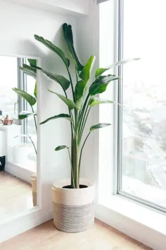 گلدان نخی 12 اینچ بافته شده گلدان گیاهان گیاهان آویز طناب |  اتسی