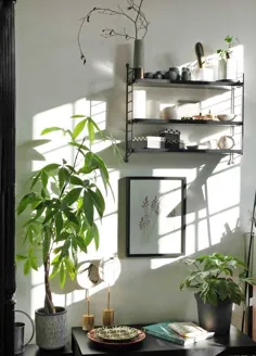 یک آپارتمان کوچک پاریسی که با گیاهان دارویی سرشار است ، شما را از حسادت سرسبز می کند