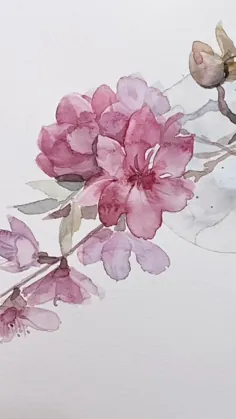 فیلم هنری نقاشی گل آبرنگ: شکوفه گیلاس