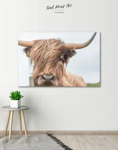هنر دیواری بوم گاو Highland |  TexelPrintArt