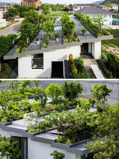 تراس سقف مدرن با گیاهان به یک باغ بام تبدیل می شود