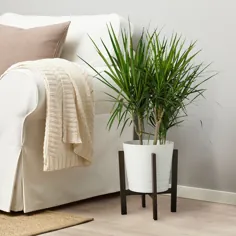 پایه گیاه PORTLAK ، قهوه ای تیره - IKEA