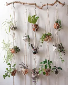 23 ایده زیبا و جذاب دیوار برای گیاهان برای فضاهای کوچک و بزرگ