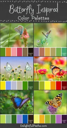 پالت های رنگی با الهام از پروانه - مسیرهای لذت بخش