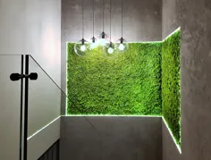 ciany i obrazy z mchu - zielone ściany z roślin