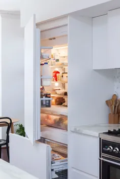 لوازم خانگی یکپارچه برای آشپزخانه - طراحی عقب نشینی