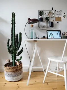 1 Pflanze ، 3 Stylings - Ein Kaktus auf Reisen |  Craftifair