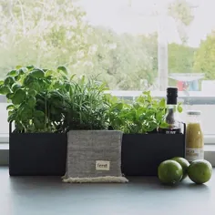 ferm LIVING در اینستاگرام: ”با جعبه گیاه کوچک ، فضای مناسبی برای تابستان هند در آشپزخانه خود ایجاد کنید ، مناسب گیاهان یا به عنوان محل نگهداری در پیشخوان آشپزخانه.  Regram ... "