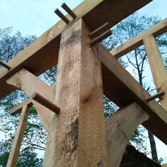 اسب تراشکاری برای ساخت چوب سبز و قاب چوب |  چوب و فروشگاه