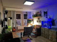 آپارتمان دانشگاهی من را دو ماه پیش ارسال کرد.  از آن زمان برخی تنظیمات انجام شده و یک نورگیر تقلبی برای مقابله با کمبود نور طبیعی نصب کرده است.