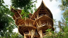 خانه های زیبا ساخته شده از بامبو - BBC Reel