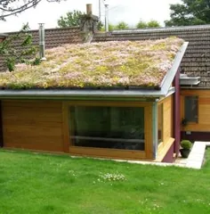Green Roof Sedum - سیستم های بام سبز