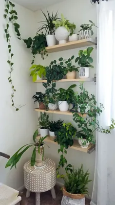 Pflanzenwand، Zimmerpflanzen، Dekorieren mit Pflanzen، Pflanzenregale، Pflanztö... - 2019 - آپارتمان دی