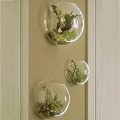 مجموعه ای از 3 دیوار حباب تراریوم گیاهان داخل سالن نگهدارنده گلدان گلدان دیواری برای گل گیاهان دیواری