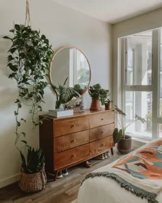 گیاهان داخلی در اتاق خواب: تور گیاهان خانگی ما