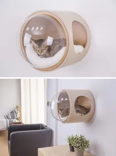 Para os amantes de gatos، camas para gatos inspiradas em nave espacial