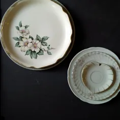 The Glimpsing Garden Collection - Vintage Mix & Match Floral China Plates - مجموعه ای از 6