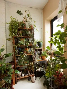 با بیش از 750 گیاه در یک آپارتمان بروکلین گشت بزنید