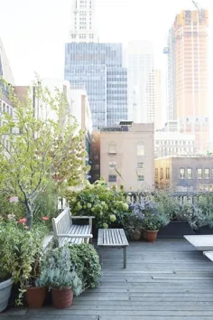 باغ بازدید: در خانه با طراح جولی ویس در منهتن - Gardenista