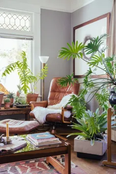 بازسازی این اتاق: گوشه خواندن پر از گیاه
