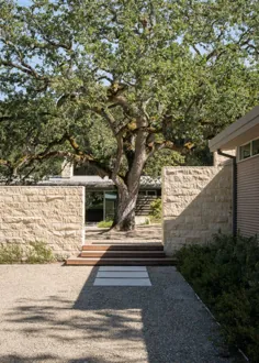 Esta casa californiaiana foi feita ao redor de uma árvore de 100 anos